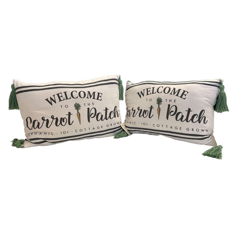 Set of 2 Easter Throw Pillows NWT